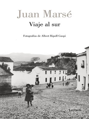 cover image of Viaje al sur